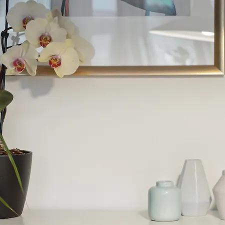 Minimalistisk Studiolejlighed I Centrum Af