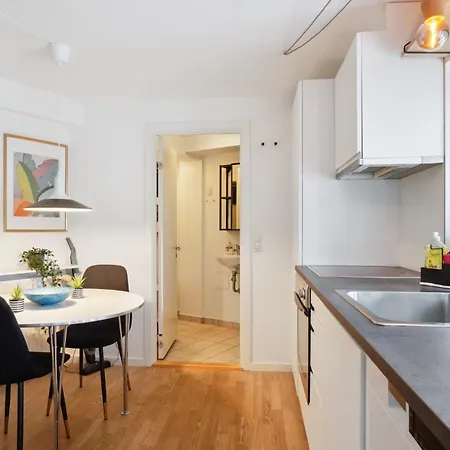 Minimalistisk Studiolejlighed I Centrum Af * Århus