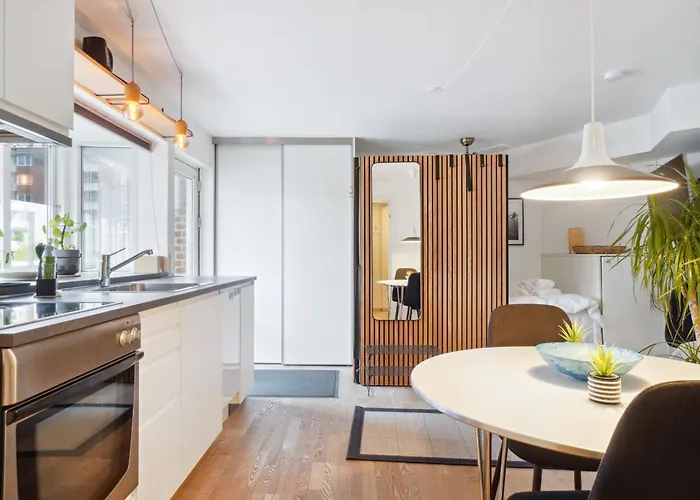 Minimalistisk Studiolejlighed I Centrum Af Aarhus